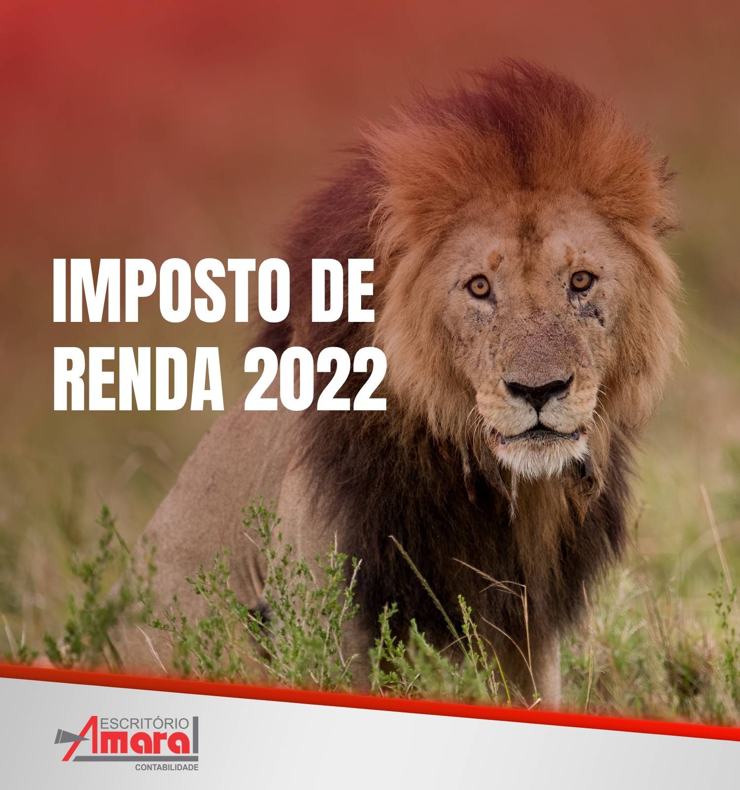 Declaração do Imposto de Renda 2022 vai de 7 de março a 29 de abril