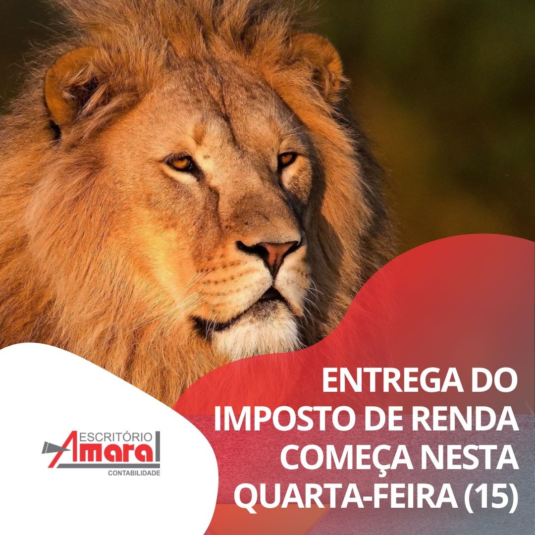 Entrega do Imposto de Renda começa nesta quarta (15); confira perguntas e respostas