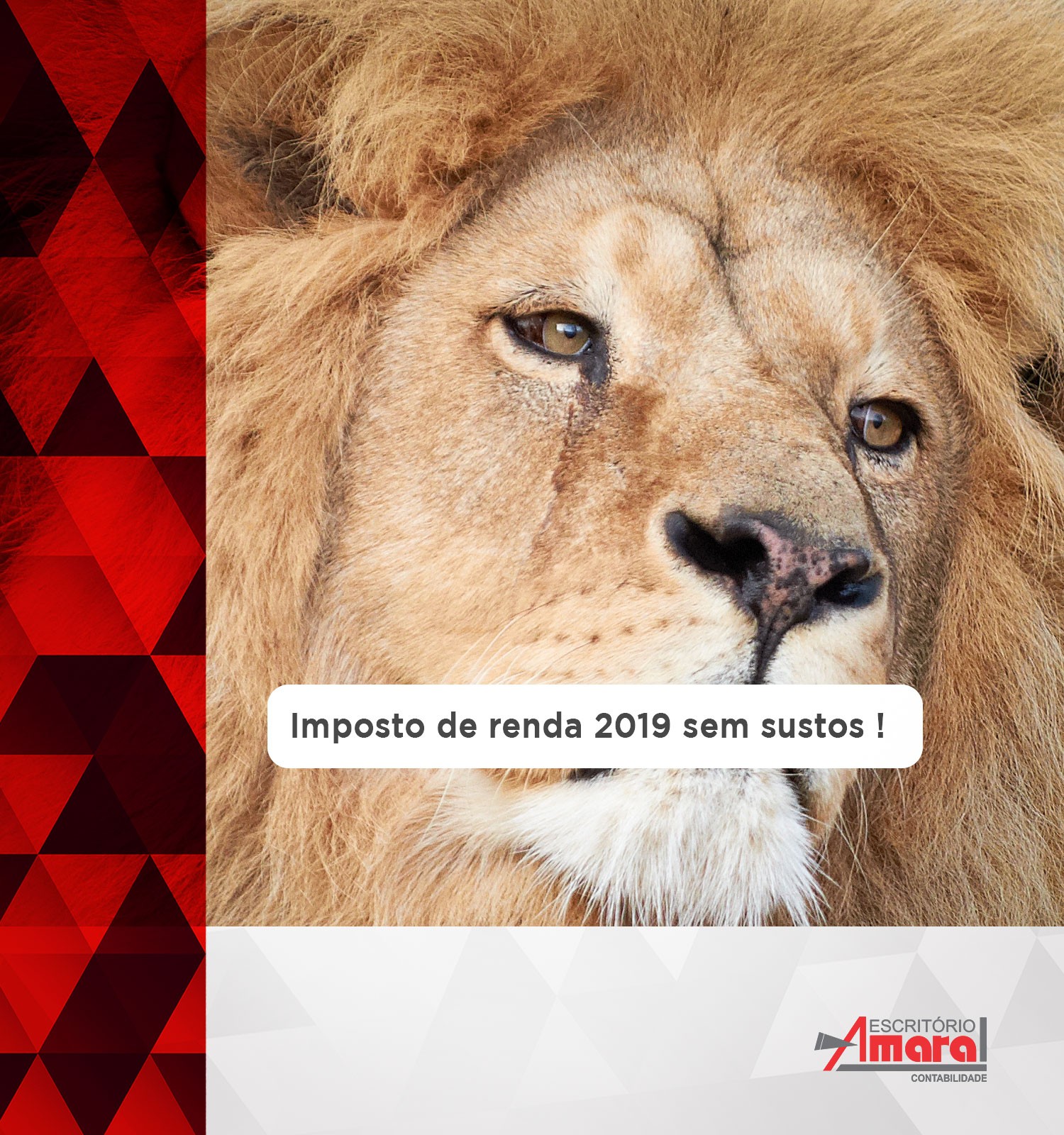 Imposto de renda 2019 sem sustos !