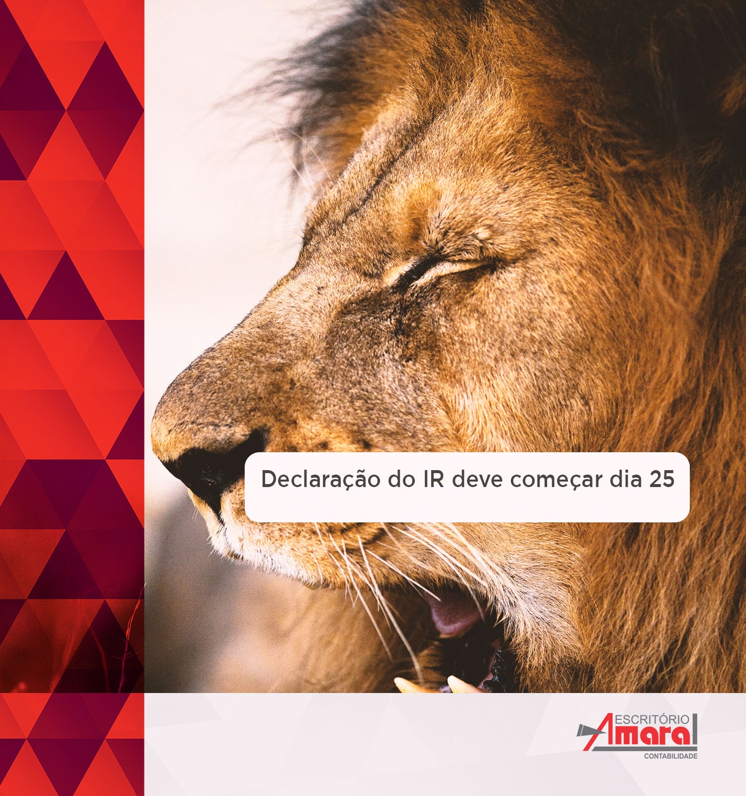 Declaração do IR deve começar dia 25