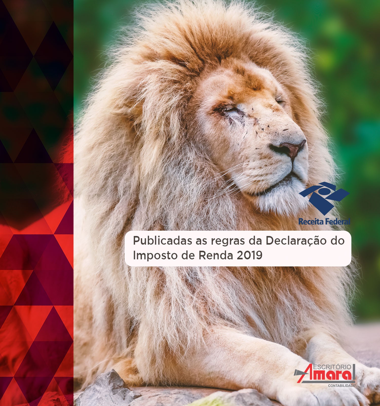 Publicadas as regras da Declaração do Imposto de Renda 2019